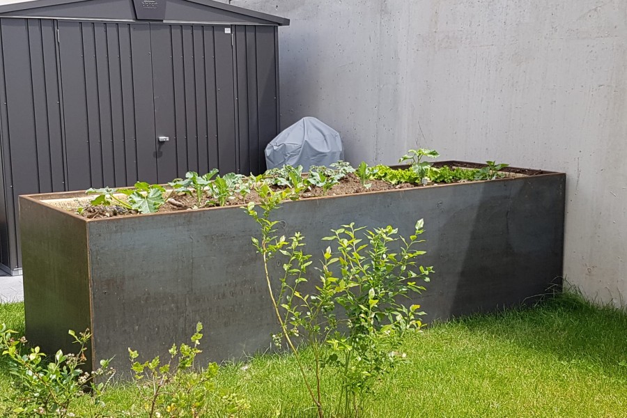 Cortenstahl Hochbeet im befhlten Zustand. 